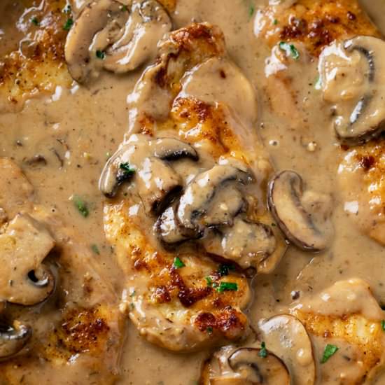 Mushroom Chicken - Recipe photo by TheCozyCook