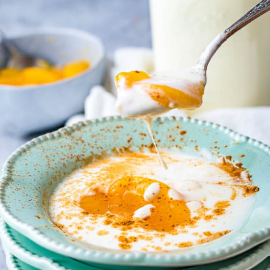 Instant Pot Yogurt with Peaches - Recipe photo by Flavor Mosaic
