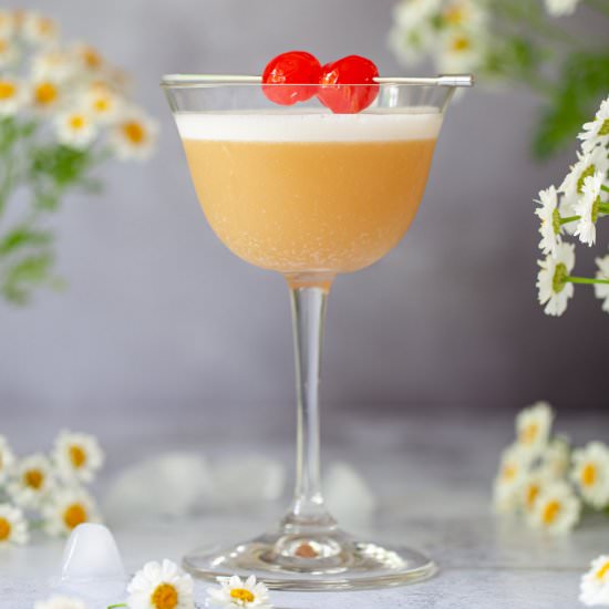 Disaronno Amaretto Sour - Recipe photo by littlesugarsnaps