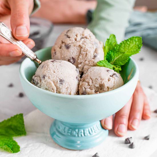 Mint Choc. Chip Nice Cream - Recipe photo by tastythriftytimely