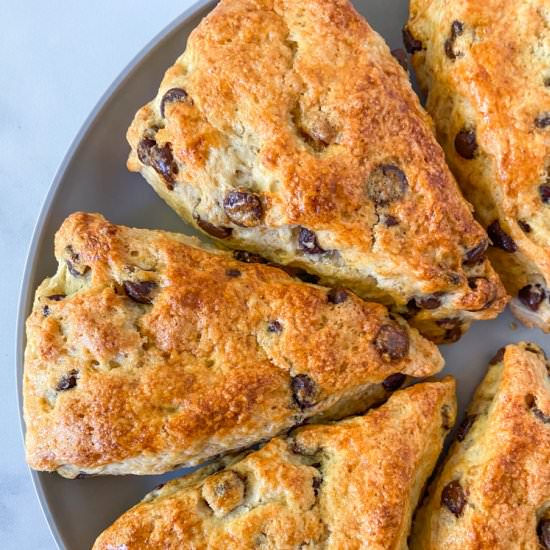 Chocolate Chip Scones - Recipe photo by Sugarylogic