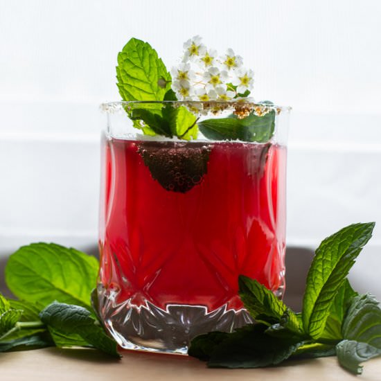 Raspberry Cordial Soda - Recipe photo by thelibrarykitchen