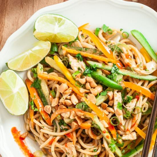 Thai Peanut Noodles - Recipe photo by chewoutloud