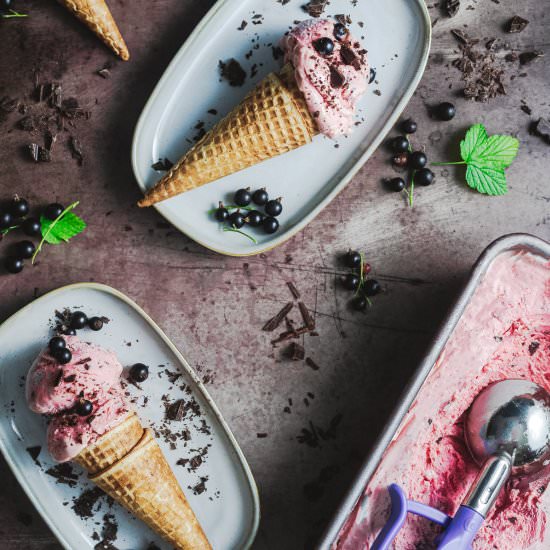 Blackcurrant Ice Cream - Recipe photo by whatsteveeats
