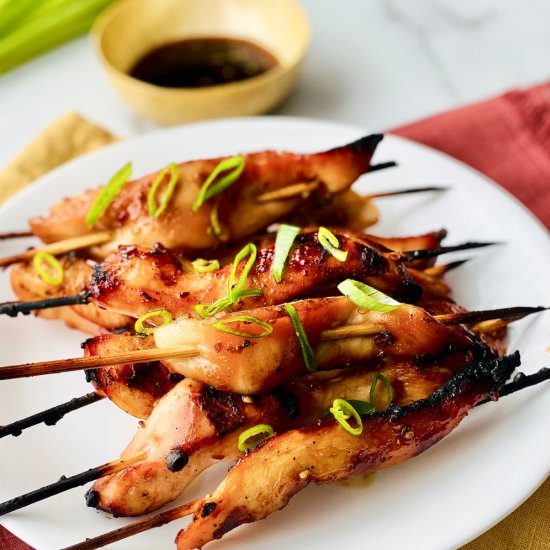 Teriyaki Chicken on a Stick - Recipe photo by theshortordercook