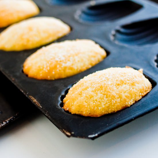 Classic Buttery Madeleines - Recipe photo by endgredients