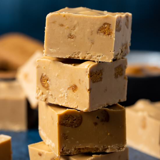 Biscoff Fudge - Recipe photo by gimmethatflavor