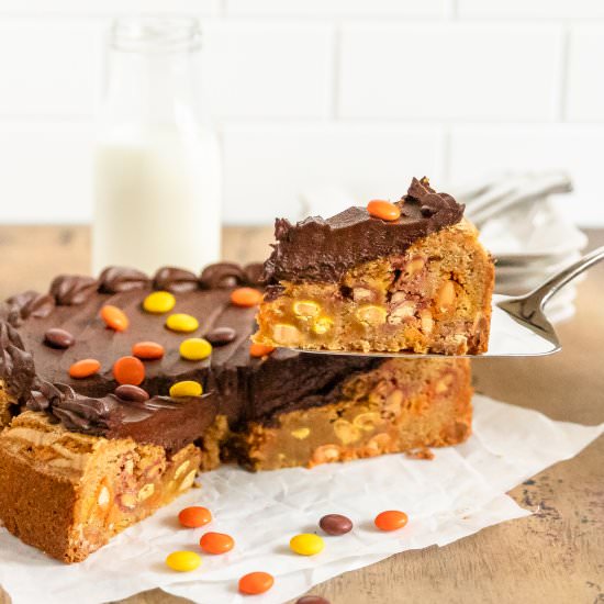 Peanut Butter Cookie Cake - Recipe photo by Cinnamon Shtick