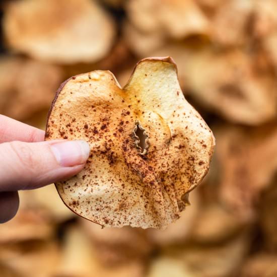 Air Fryer Apple Chips - Recipe photo by foodfaithfitness