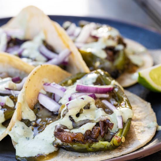Chile Relleno Shredded Beef Tacos - Recipe photo by chilesandsmoke