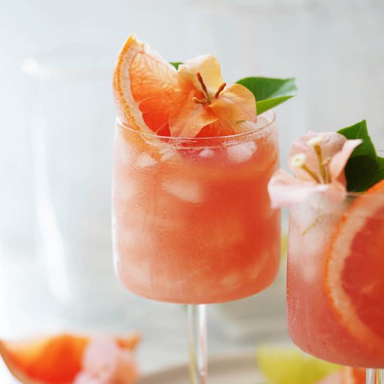 Refreshing Paloma Cocktail - Recipe photo by Muy Delish
