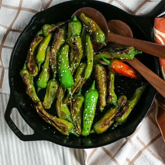 Quick Blistered Shishito Peppers - Recipe photo by theproducepack