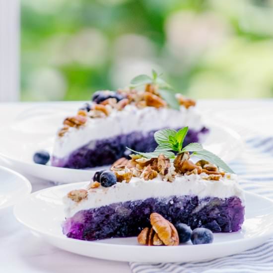 No-Bake Blueberry Dessert - Recipe photo by House of Elyn Ryn