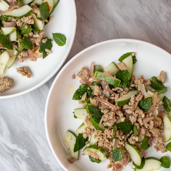 Spicy Chicken and Mint Salad - Recipe photo by sidewalkshoes