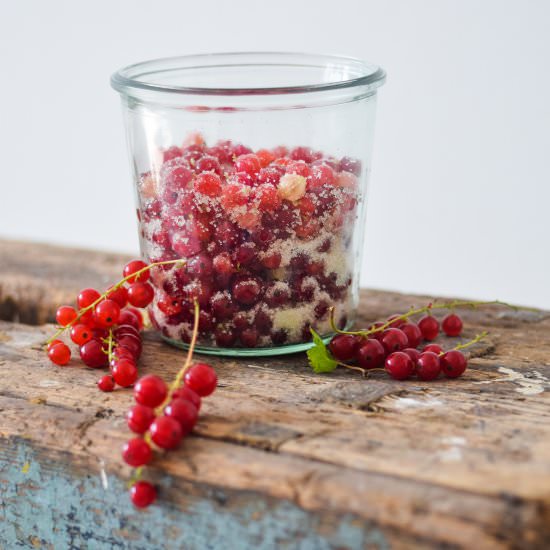 Sugared redcurrants - Recipe photo by Julie Karla