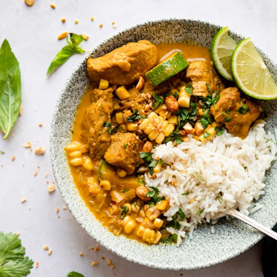Easy Pork Curry with Rice - Recipe photo by Salted Mint