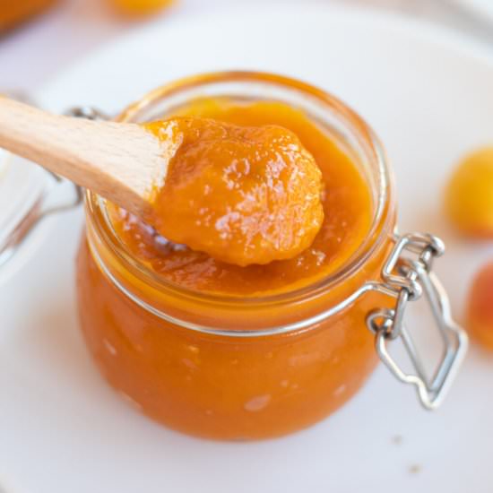 Instant Pot Apricot Jam - Recipe photo by pipingpotcurry