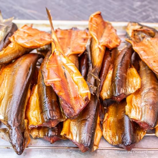 How to Smoke Fish - Recipe photo by BeyondtheCoop