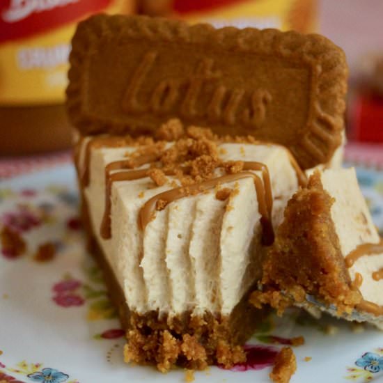 Vegan Biscoff Cheesecake - Recipe photo by whatjessicabakednext