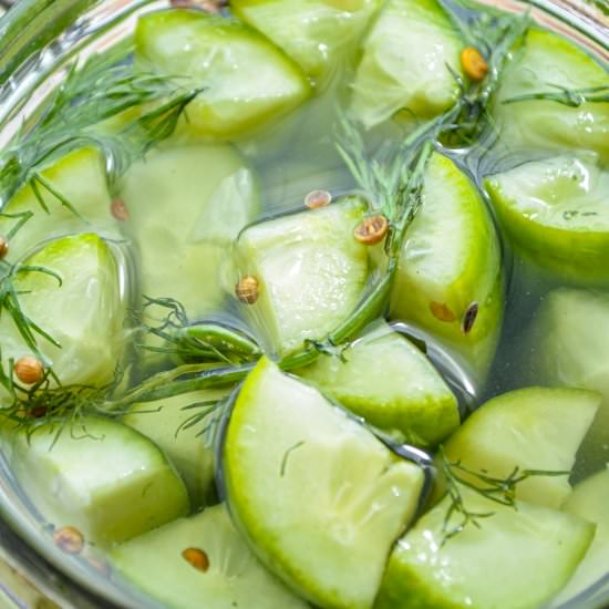 Instant Pot Refrigerator Pickles - Recipe photo by dashfordinner