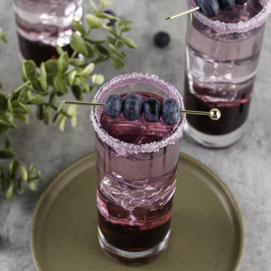 Blueberry Gin Cocktail - Recipe photo by Entirely Elizabeth