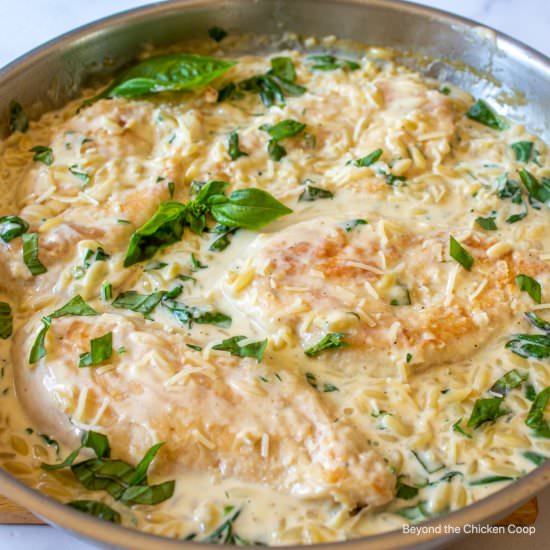 Creamy Chicken Orzo - Recipe photo by BeyondtheCoop