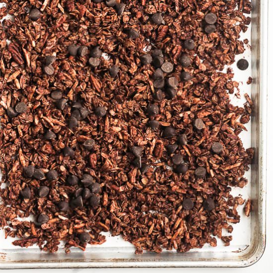 Healthy Chocolate Granola - Recipe photo by suebeehomemaker