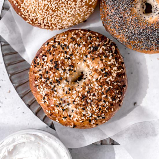 New York Style Bagels - Recipe photo by sloanes.table