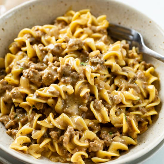 Beef and Noodles - Recipe photo by TheCozyCook
