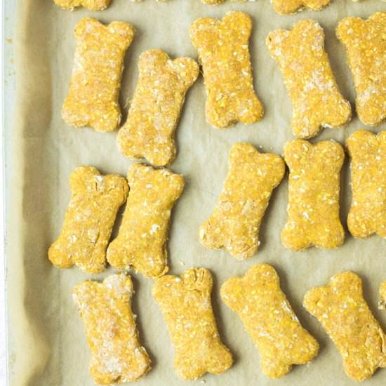 Homemade Dog Treats - Recipe photo by amandascookin