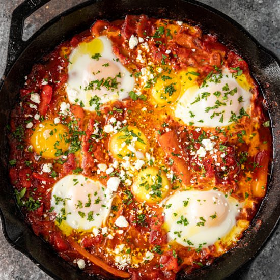 Moroccan Shakshuka - Recipe photo by Silk Road Recipes