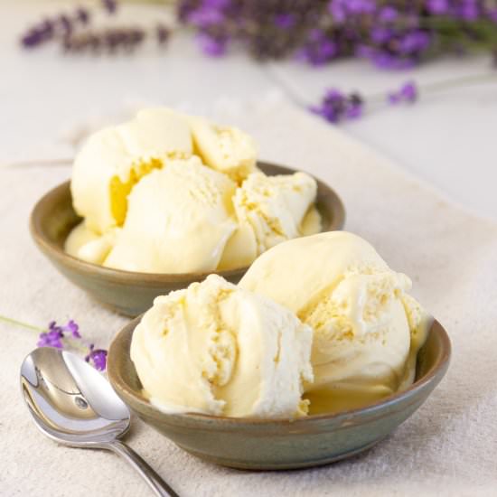Vanilla Ice Cream - Recipe photo by dwayland