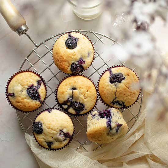 Blueberry Muffins - Recipe photo by MunatyCooking
