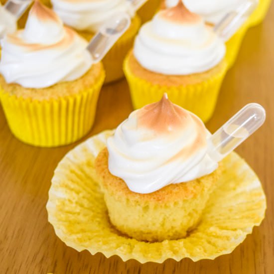 Pisco Cocktail Cupcakes - Recipe photo by Waitingforblancmange