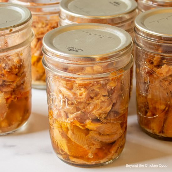 Canning Smoked Fish - Recipe photo by BeyondtheCoop