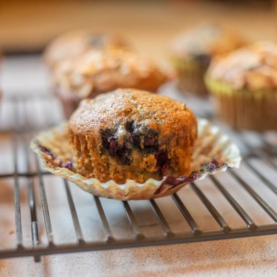 Zucchini Muffins - Recipe photo by HIldaskitchenblog