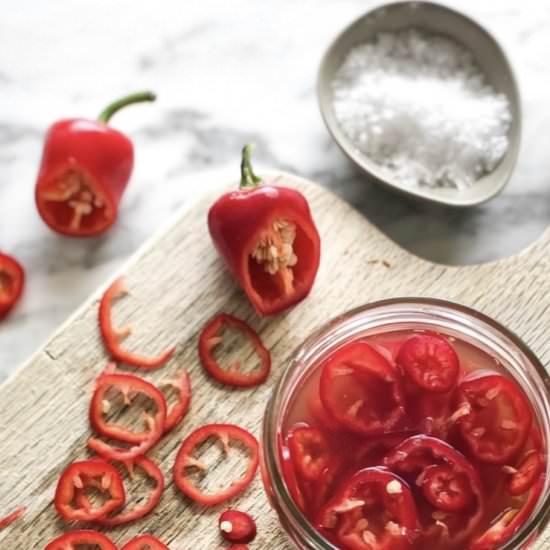 Pickled Rad Jalapeno Peppers - Recipe photo by jonnakeohane