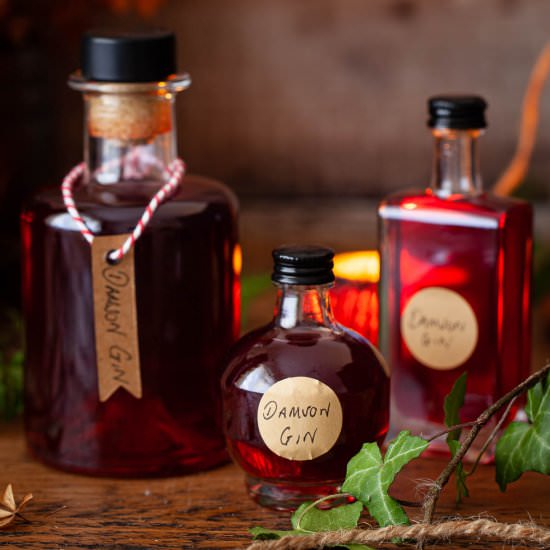 Damson Gin - Recipe photo by littlesugarsnaps