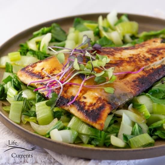 Miso Glazed Black Cod - Recipe photo by dwayland