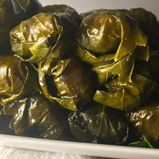 Instant Pot Grape Leaves (Dolmas) - Recipe photo by summeryule.com
