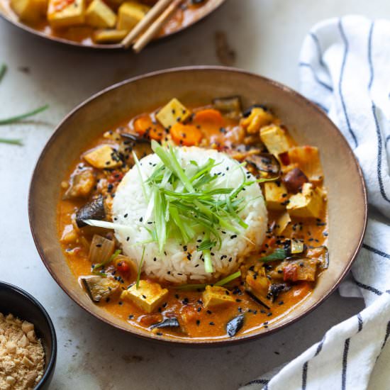 Roasted Eggplant and Tofu Curry - Recipe photo by vibrantplate