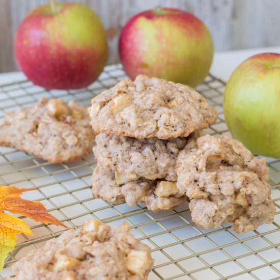 Apple Oatmeal Cookies - Recipe photo by bubbapie
