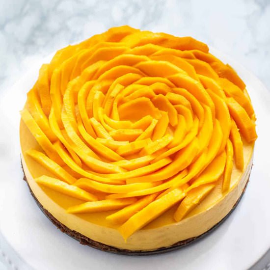 Mango Cheesecake - Recipe photo by shintasimon