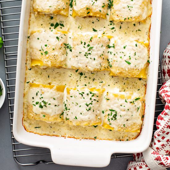 Chicken Alfredo Lasagna Rolls - Recipe photo by bellyfull