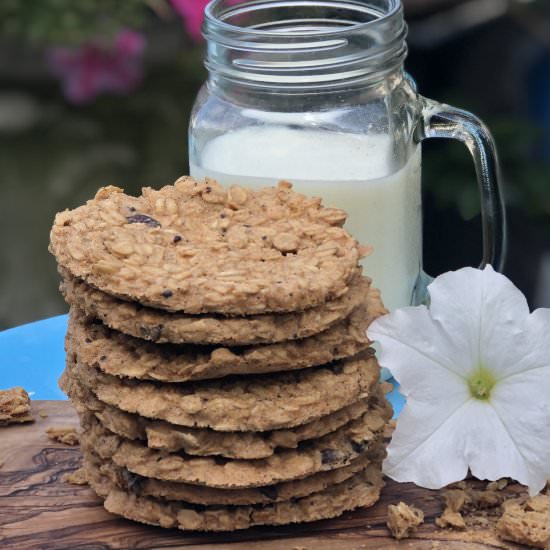 Easy Oatmeal Chocolate Chip Cookies - Recipe photo by Sueseaqpi
