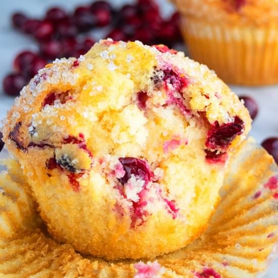 Cranberry Orange Muffins - Recipe photo by Cakewhiz