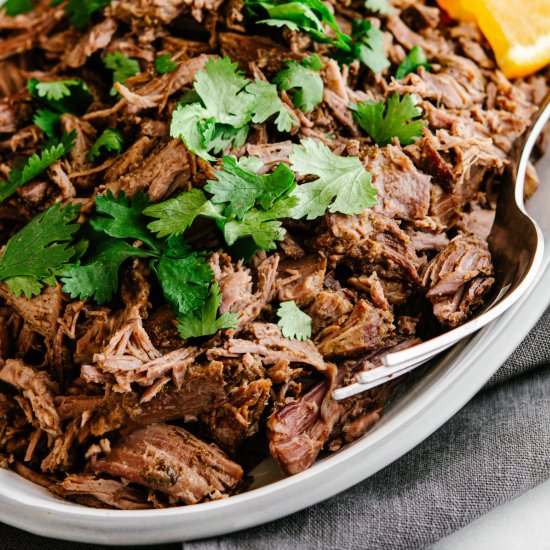 Lamb Barbacoa - Recipe photo by PinchandSwirl
