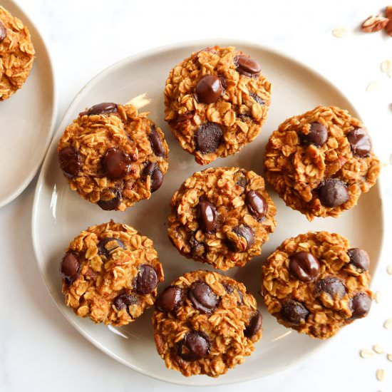 Pumpkin Chip Baked Oatmeal Cups - Recipe photo by StaceyLives