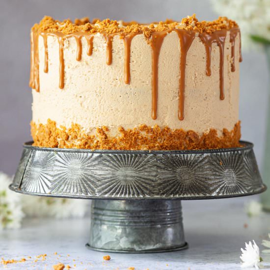 Vegan Biscoff Cake - Recipe photo by littlesugarsnaps