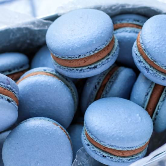 Almond Joy Macarons - Recipe photo by Bakes and Blunders